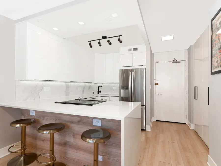 88 W Schiller Street #303L, Chicago, IL 60610 - #2