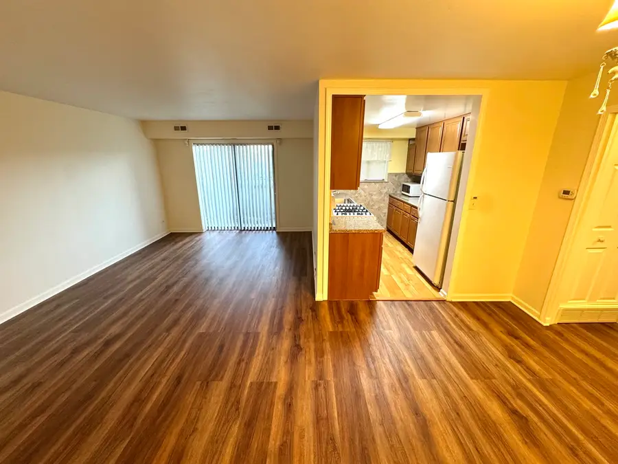 1460 Fairlane Drive #311, Schaumburg, IL 60193 - #2