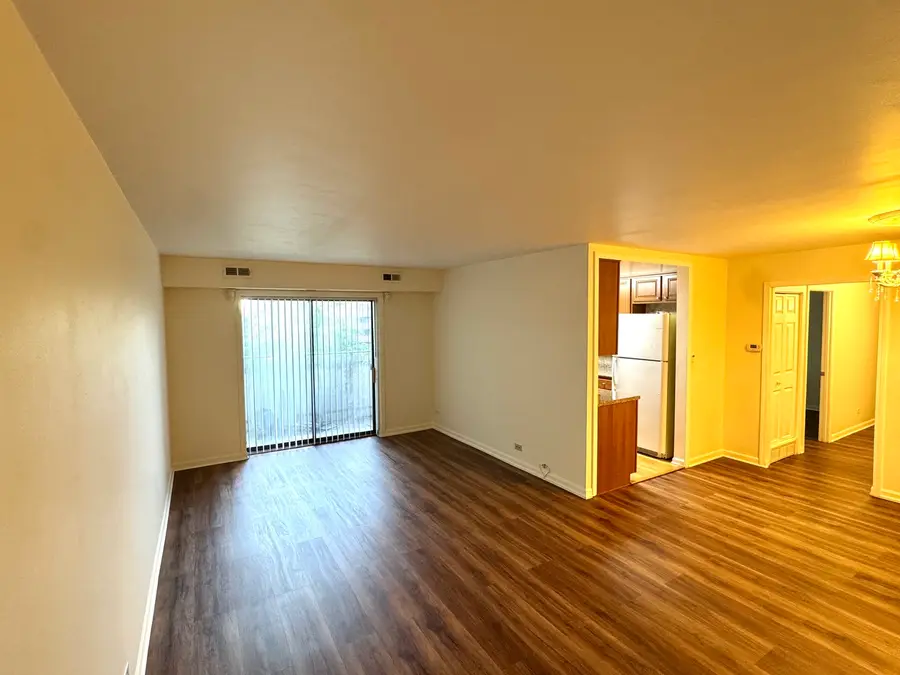 1460 Fairlane Drive #311, Schaumburg, IL 60193 - #3