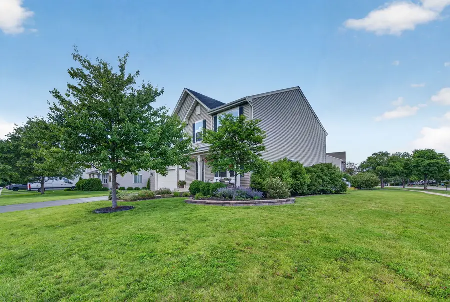 25102 Presidential Avenue, Plainfield, IL 60544 - #2