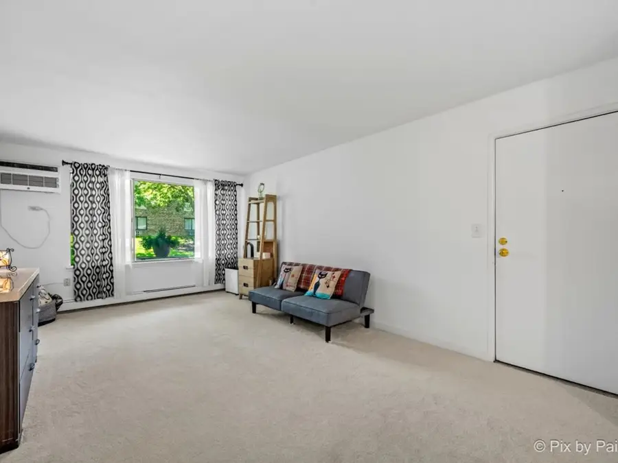 1475 N Winslowe Drive #102, Palatine, IL 60074 - #2