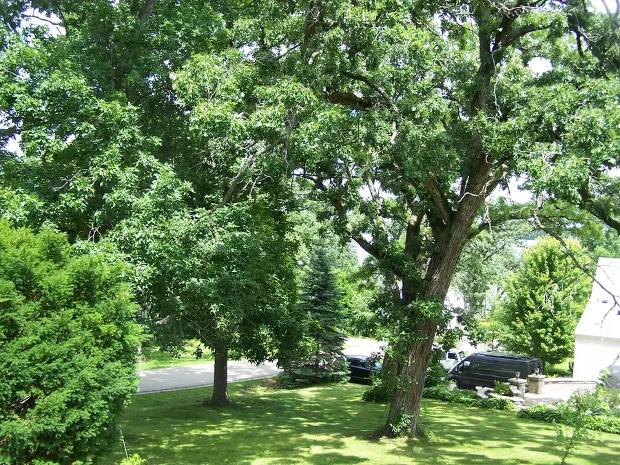 3212 Pleasant Drive, Wonder Lake, IL 60097 - #3