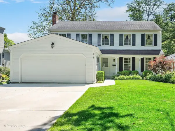 217 S Rex Boulevard, Elmhurst, IL 60126