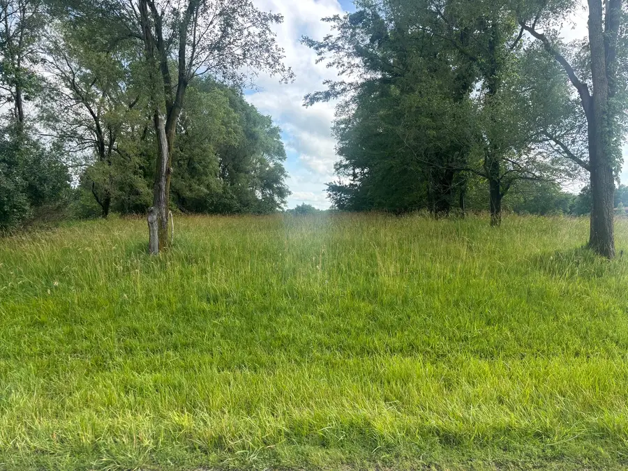 1185 Lake Wildwood Drive, Varna, IL 61375 - #2