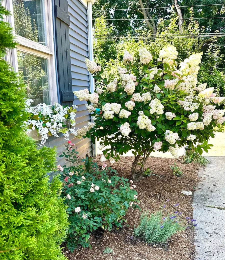 1N016 Woods Avenue, Wheaton, IL 60187 - #2