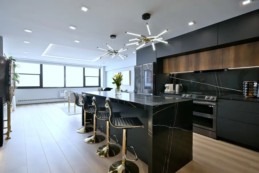 1150 N Lake Shore Drive #22A, Chicago, IL 60611 - #2