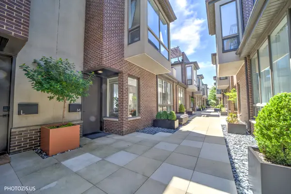 1757 N Paulina Street #M, Chicago, IL 60622