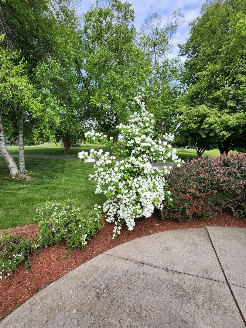 26-48 Norwood Drive, Lanark, IL 61046 - #3