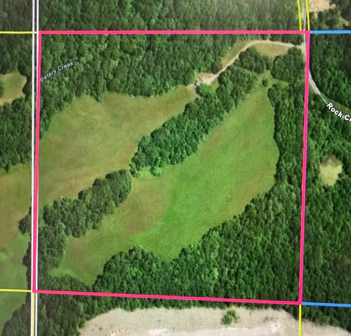 153 Rock Creek Road, Cave In Rock, IL 62919 - #1