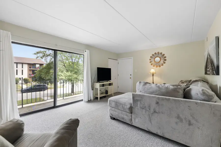 9949 Shady Lane #2B, Orland Park, IL 60462 - #3