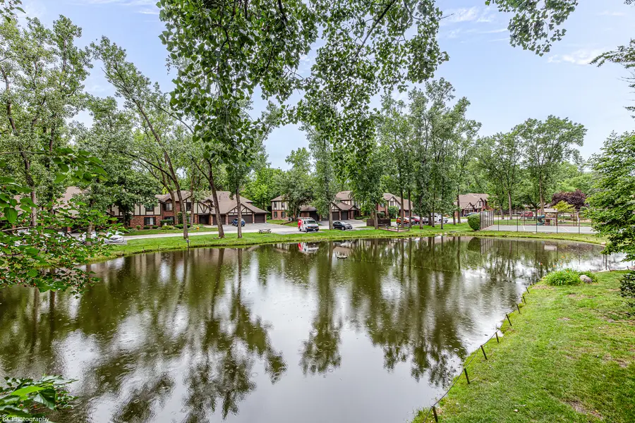 8127 Chestnut Drive #58C, Palos Hills, IL 60465 - #3