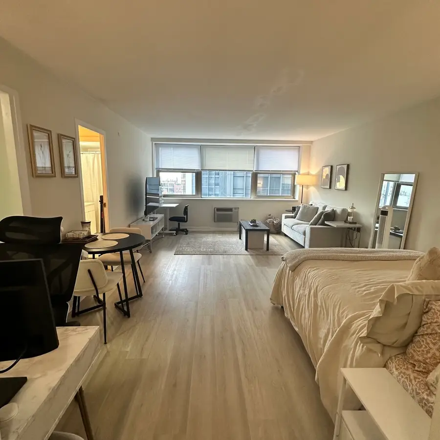 253 E Delaware Place #15E, Chicago, IL 60611 - #2