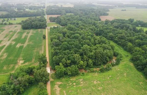 TBD S Us 45 Road, Brookport, IL 62910
