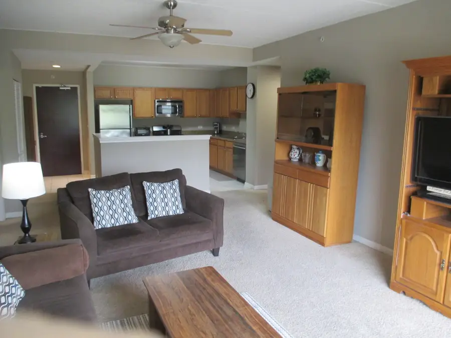 125 Lakeview Drive #203, Bloomingdale, IL 60108 - #3