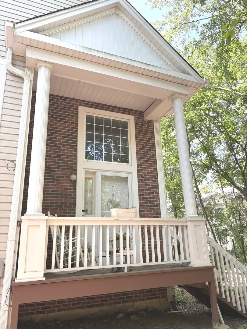 259 W Treehouse Lane W #259, Round Lake, IL 60073 - #1