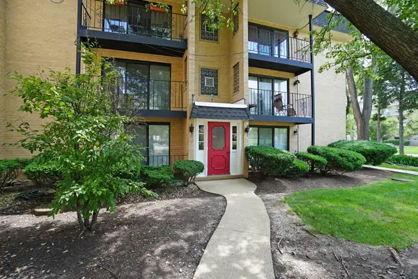 1003 S Euclid Avenue #1, Elmhurst, IL 60126
