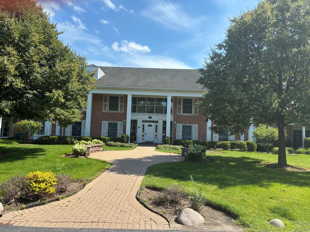 112 Carriage Way Drive #204A, Burr Ridge, IL 60527 - #1