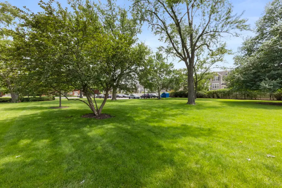 809 E Miner Street #1B, Arlington Heights, IL 60004 - #3