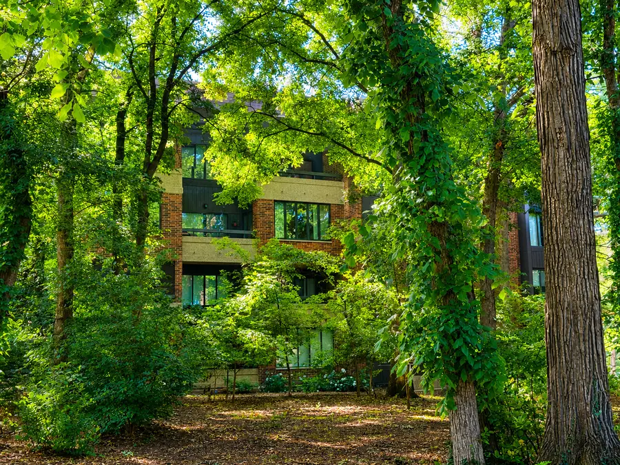 1401 Burr Oak Road #303B, Hinsdale, IL 60521 - #2