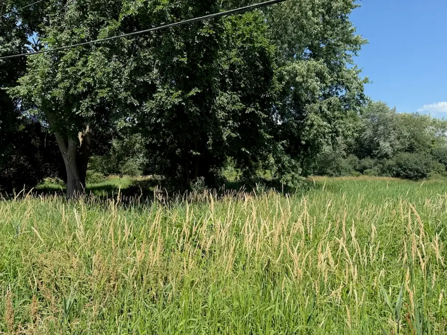 Lot 12 Tower Drive, Holiday Hills, IL 60051 - #2