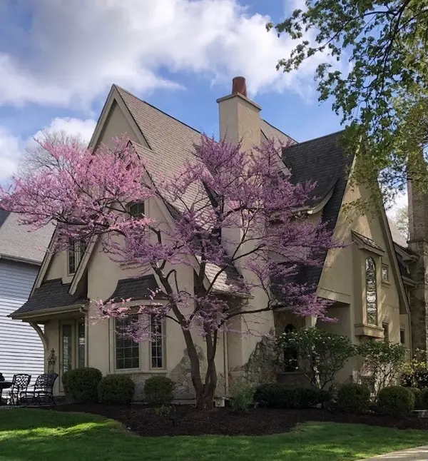 706 N Ellsworth Street, Naperville, IL 60563