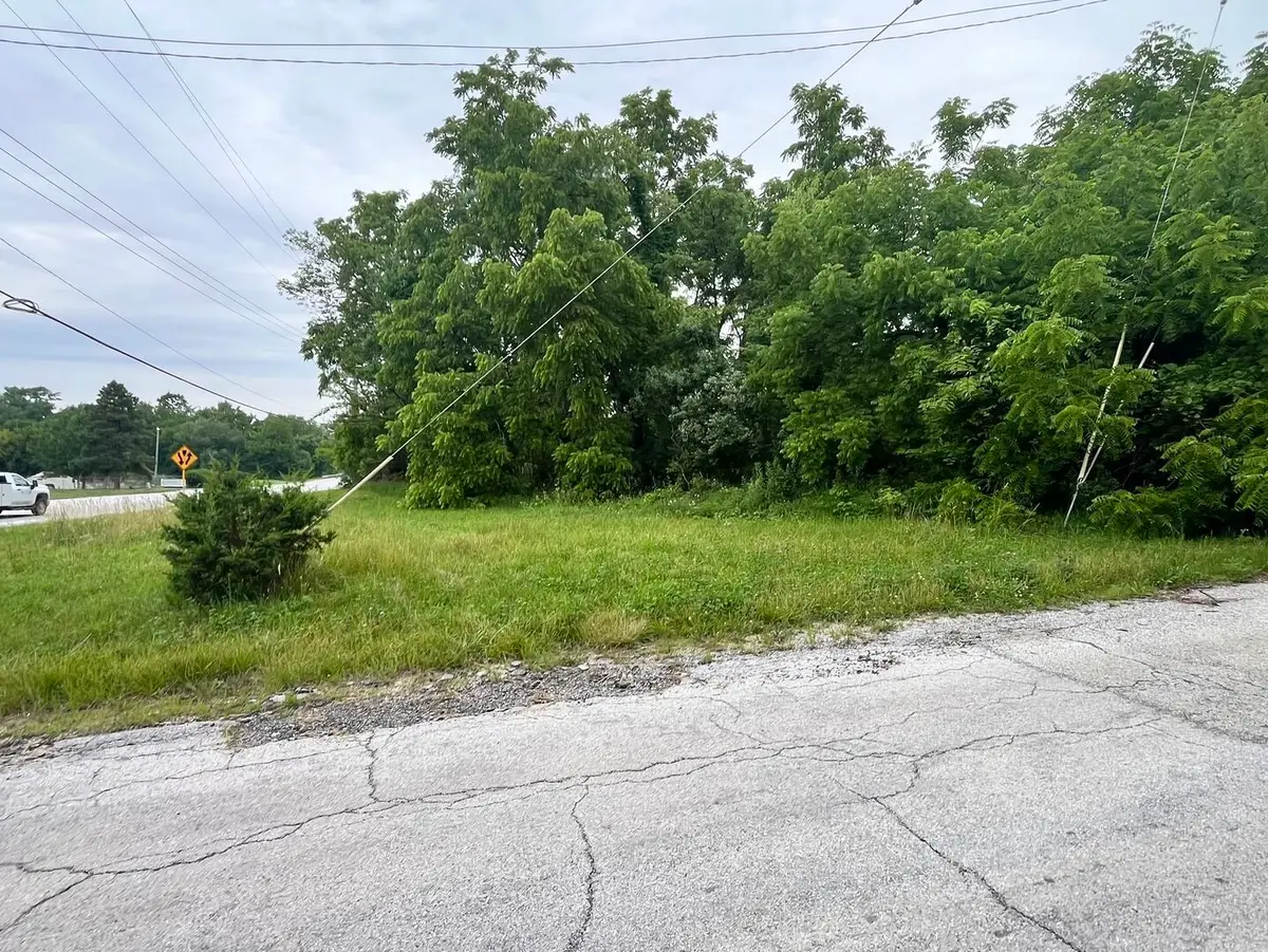 Vacant Western Avenue, University Park, IL 60484 - #1