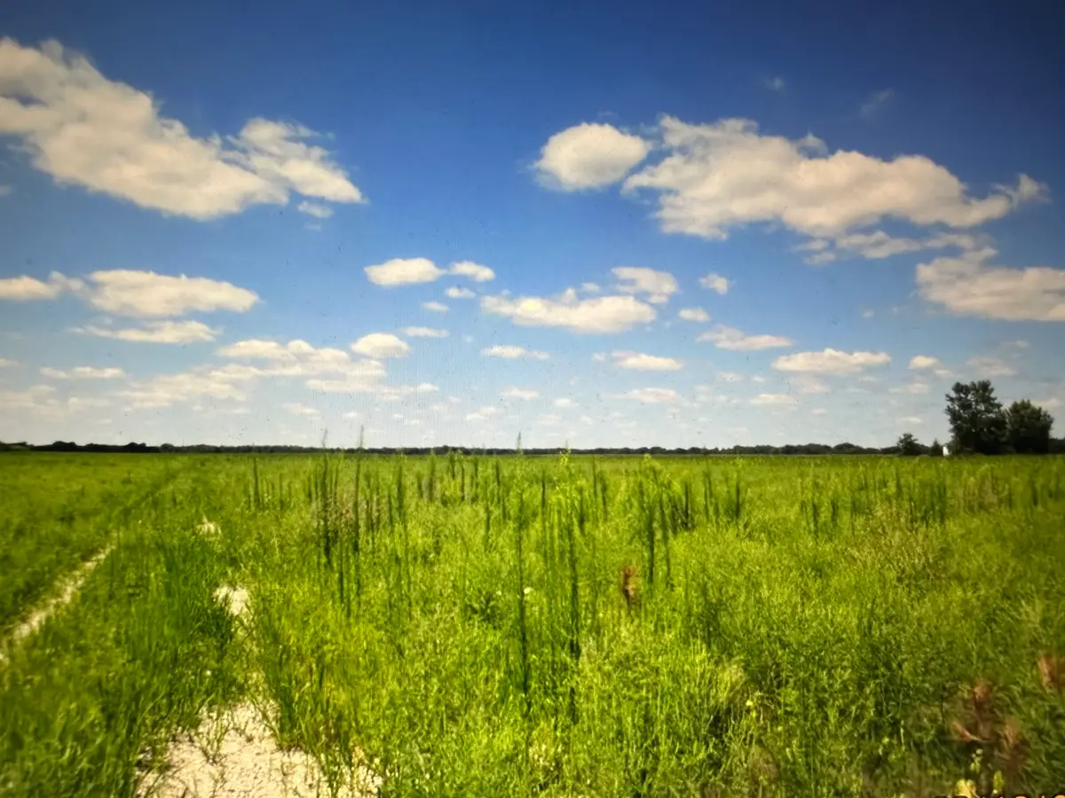 1065 N Gorman Road, Morris, IL 60450 - #1