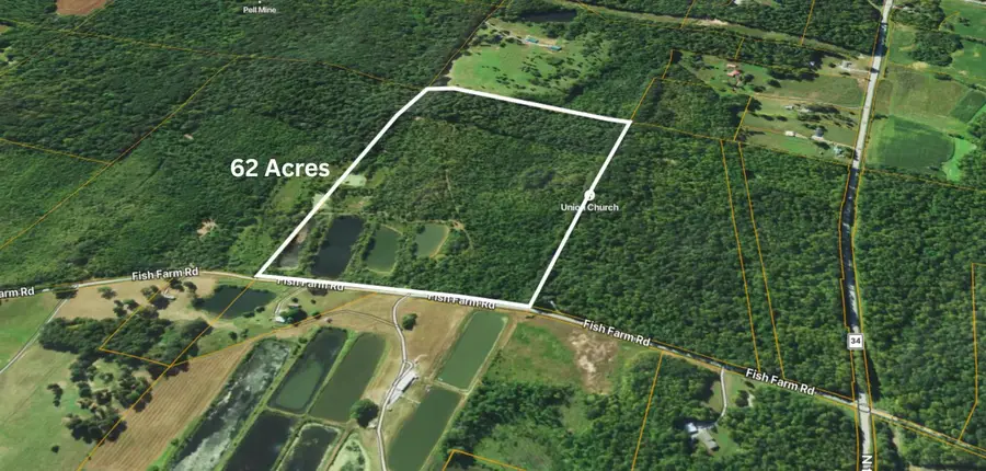 40 Fish Farm Road, Golconda, IL 62938 - #2