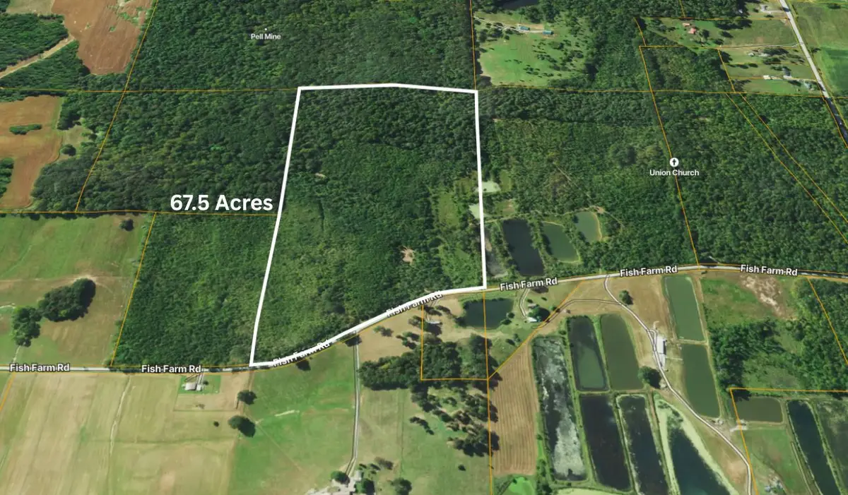 70 Fish Farm Road, Golconda, IL 62938 - #1