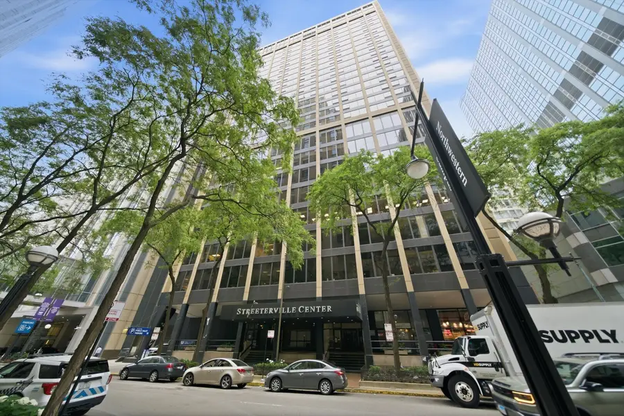 233 E Erie Street #1110, Chicago, IL 60611 - #2