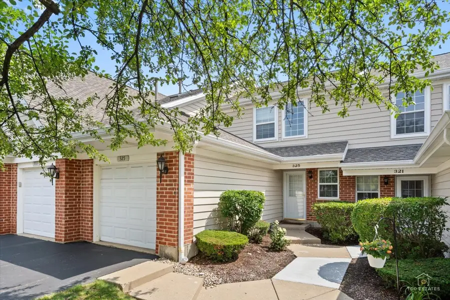 325 Odlum Court, Schaumburg, IL 60194 - #2
