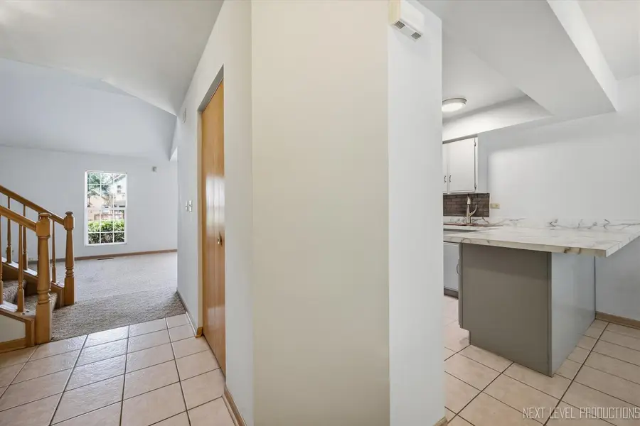 37 Ione Drive #B, South Elgin, IL 60177 - #3