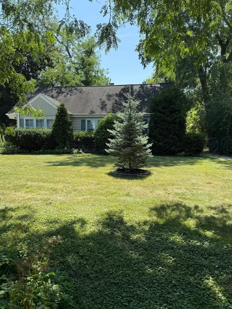 47 W Algonquin Road, Des Plaines, IL 60016 - #2