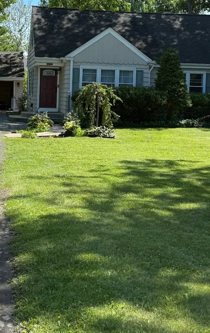 47 W Algonquin Road, Des Plaines, IL 60016 - #3