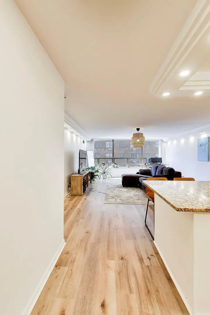 110 E Delaware Place #1402, Chicago, IL 60611 - #3