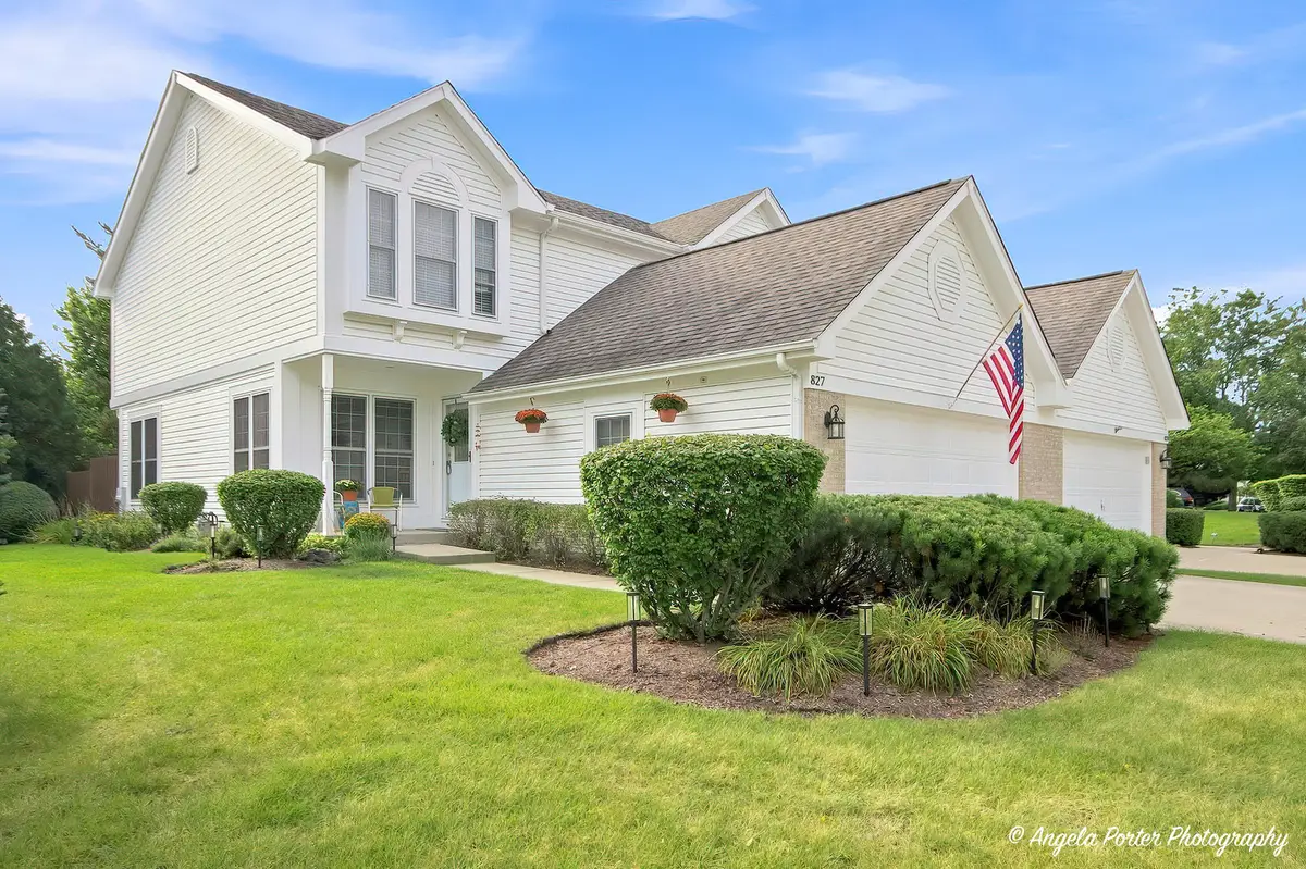 827 Stonebridge Lane, Crystal Lake, IL 60014 - #1