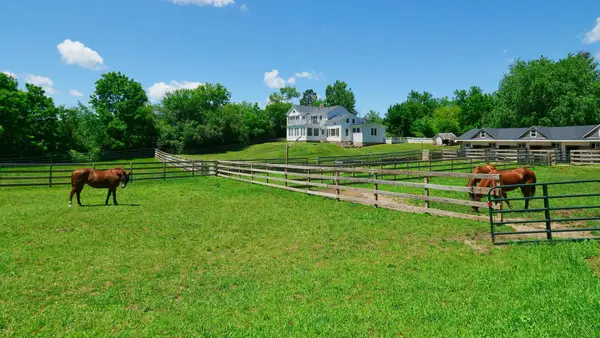 708 S Rose Farm Road, Woodstock, IL 60098