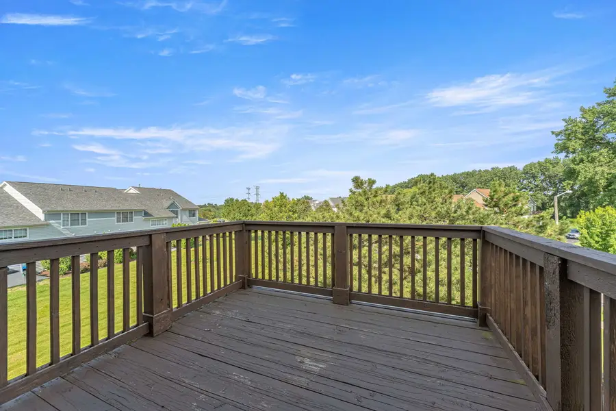 21332 Windy Hill Drive, Frankfort, IL 60423 - #3