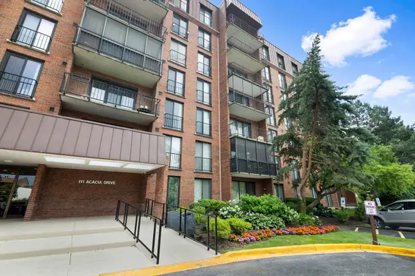 111 Acacia Drive #306, Indian Head Park, IL 60525