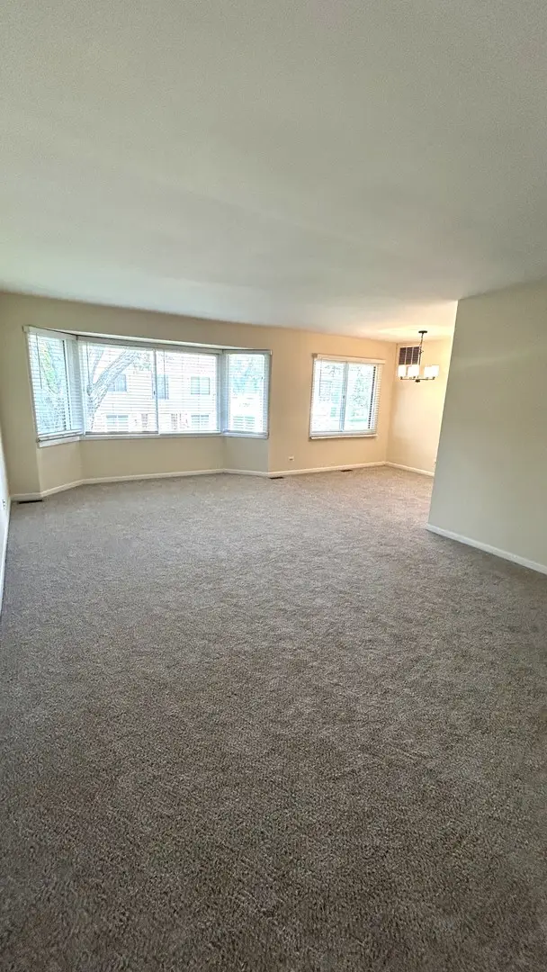 3100 Roberts Drive #5, Woodridge, IL 60517 - #3