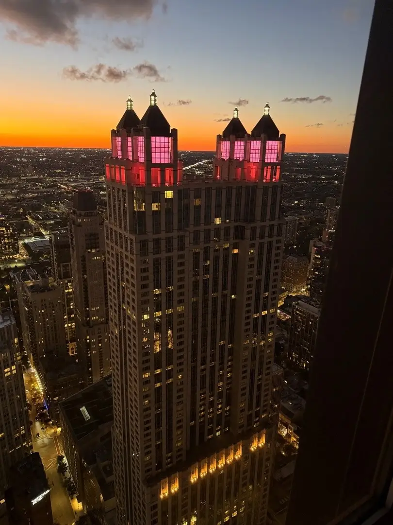 175 E Delaware Place #7201-7202, Chicago, IL 60611 - #3