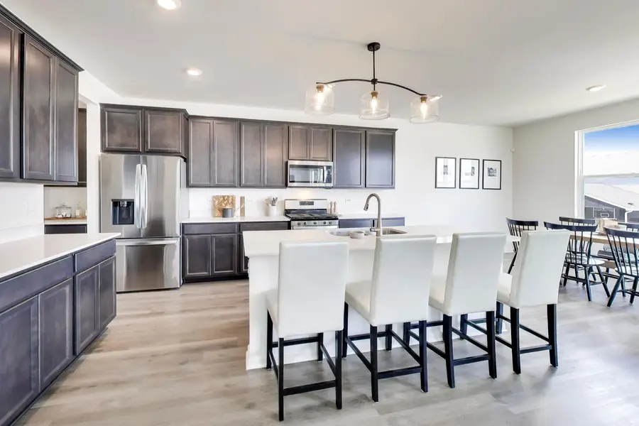 1316 Tiger Lily Drive, Bartlett, IL 60103 - #3