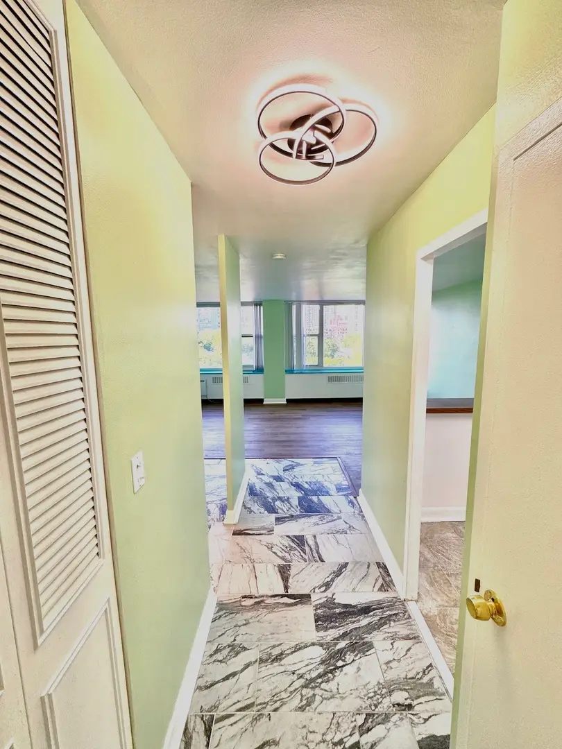 4250 N Marine Drive #714, Chicago, IL 60613 - #2