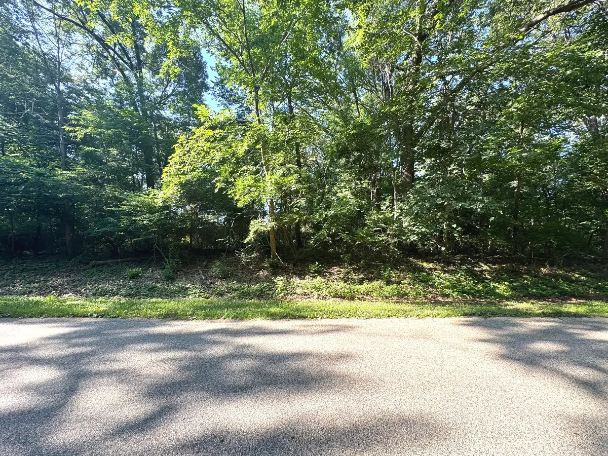 Lot 90 Lake Thunderbird Drive, Tiskilwa, IL 61368 - #1