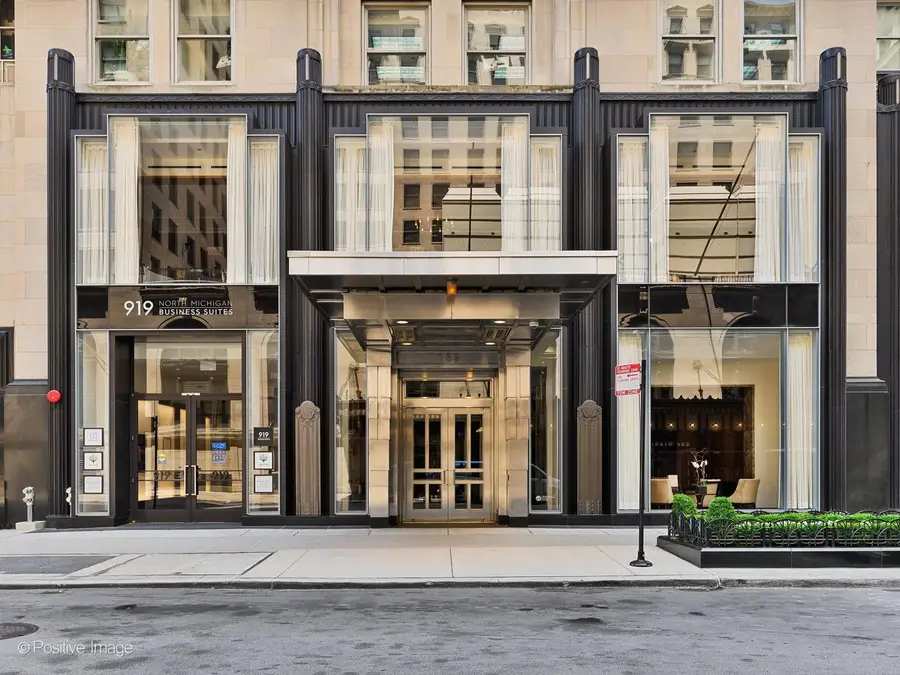 159 E Walton Place #7E, Chicago, IL 60611 - #2