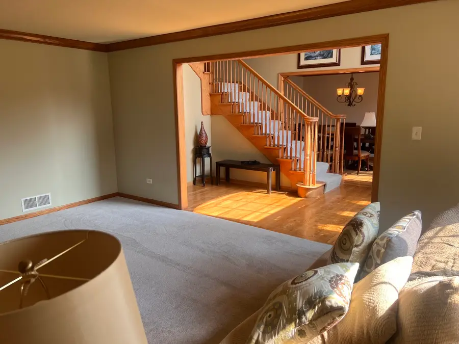 21367 Brittany Drive, Frankfort, IL 60423 - #3