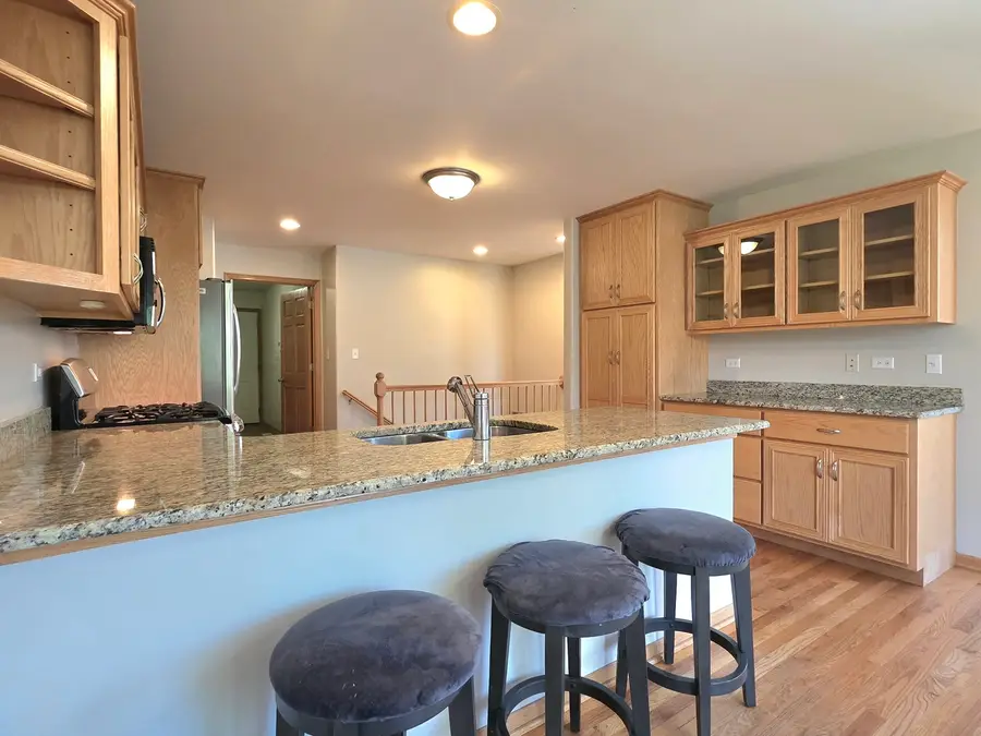 19604 Crested Butte Lane, Mokena, IL 60448 - #3
