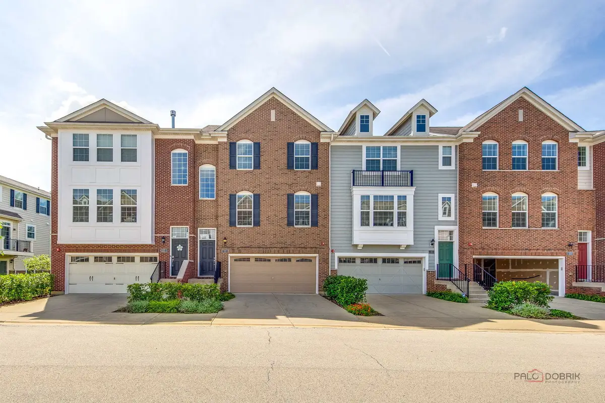 29 Neri Drive, Schaumburg, IL 60194 - #1