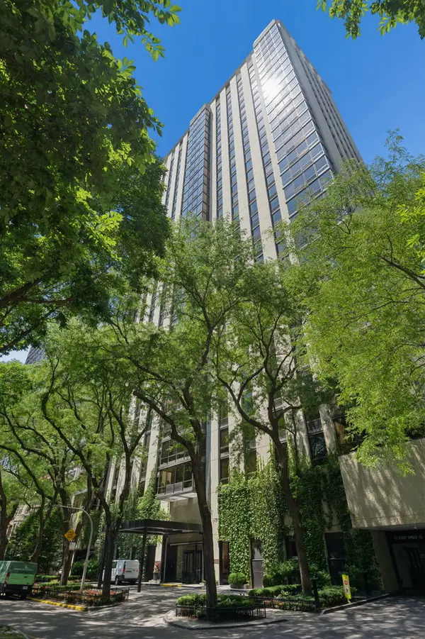 100 E Bellevue Place #24A, Chicago, IL 60611