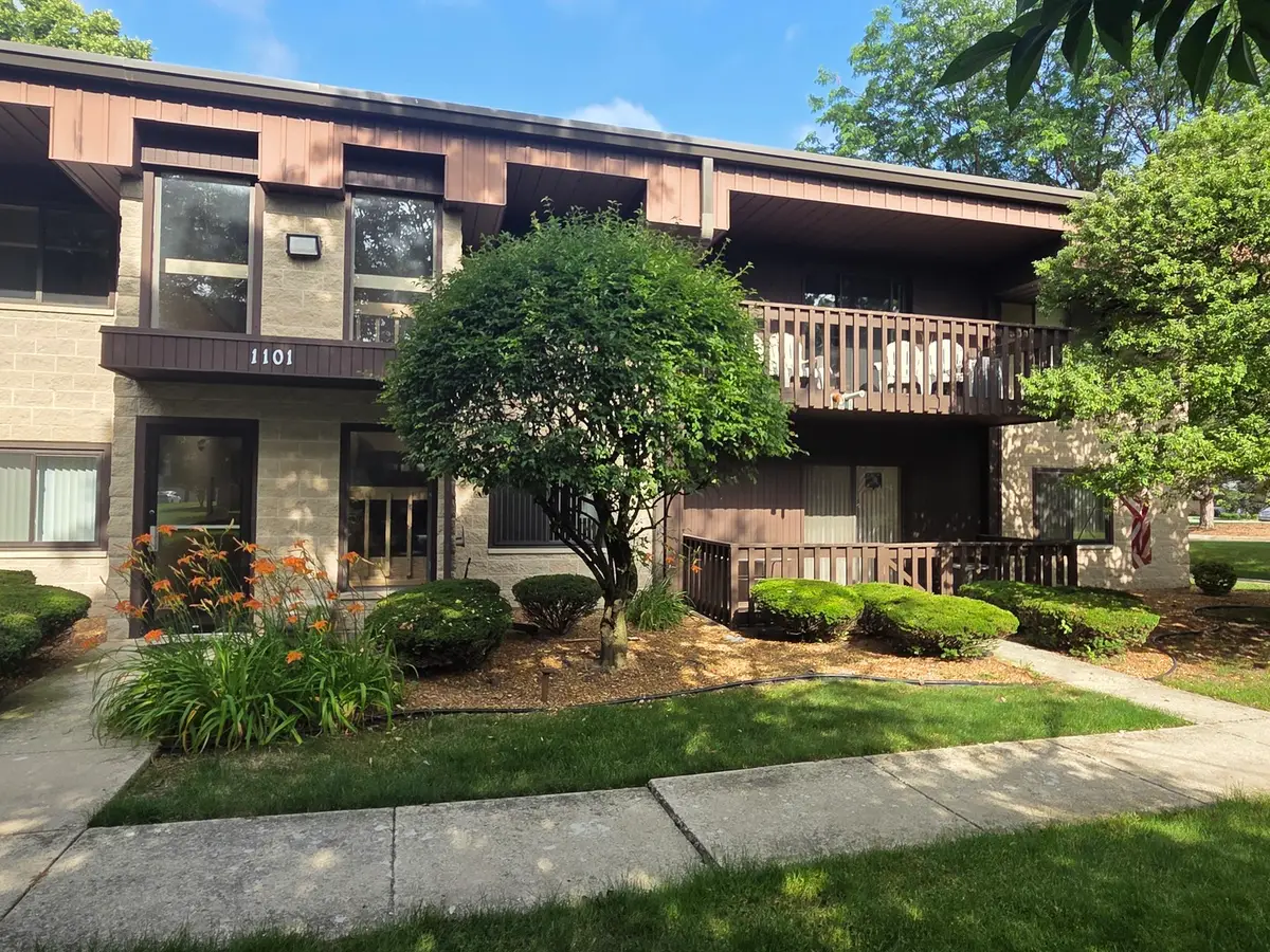 1101 E Division Street #1B, Lockport, IL 60441 - #1